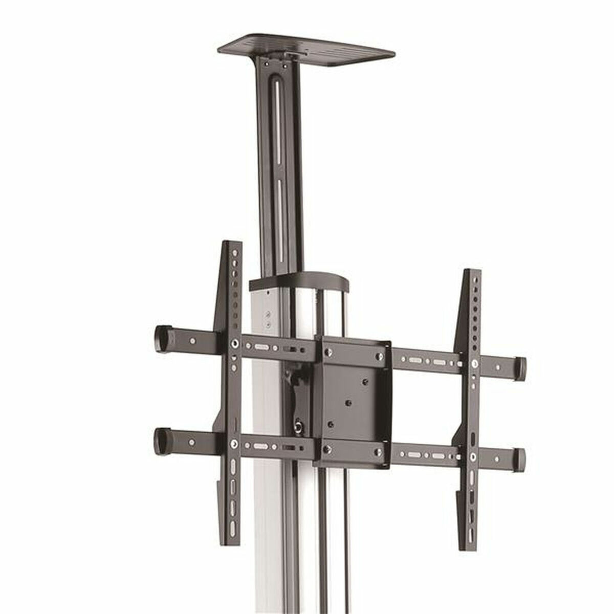 Trolley Startech STNDMTV70 - 2